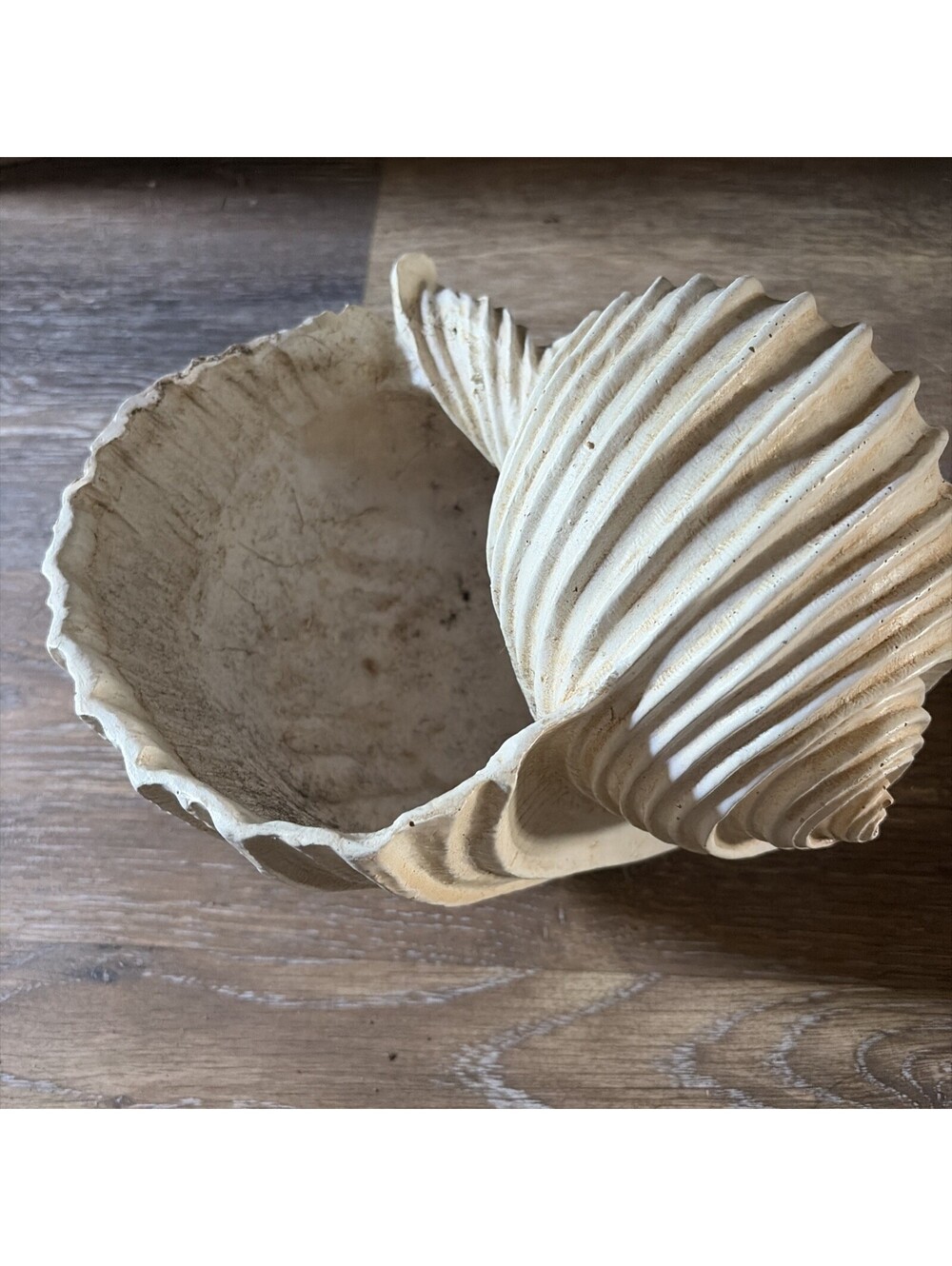 planters for plants vintage,seashell